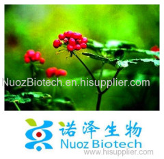 High Quality Panax Ginseng Root Extract fine powder