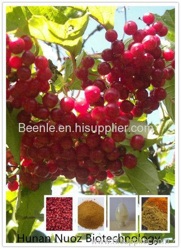 Manufacturer hot sale schisandra extract with the lignins 1%