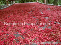 The lignins in schisandra extract/schisandra extract price 2014