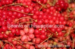 Schisandra extract with 4% the lignins