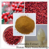 Factory Outlet Health Care Skin Whitening Chinese Herb Original Herbal Medicine Schisandra Chinensis extract
