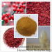 Hot sale schisandra extract with lignins 10%