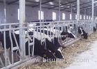 Humanized Dairy Cow Headlocks , Flexible Pregnant Cattle Head Lock