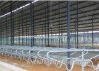 Durable Customized Bedding Cow Milking Stall With Double Row Type