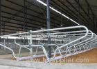 Hot - Galvanized Single Row Type Steel Pipe Clamp Cow Free Stall For Young Cow