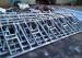Dry / Pregnant Postpartum Cow Head Lock With Hot - Galvanized Steel Pipe