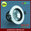 25W 1750LM COB ceiling lighting