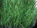 Playground fake grass artificial turf lawn