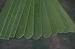 fiber reinforced polymers fiberglass flat bar