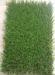 Polyethylene Polypropylene Residential Artificial Grass , Backyard Synthetic Turf