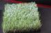 Eco Friendly Landscape Lawn Triangle Shape Futsal Artificial Grass DIN 53387