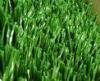 30mm - 60mm Waterproof Soft Rugby Artificial Turf Decoration Synthetic Polypropylene Grass