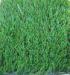 50mm Cricket Sport Artificial Grass Environmental Plastic False Grass