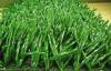 Polypropylene Durable Baseball Artificial Grass / Fake Turf Field Green 10000Dtex