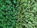 Soft Olive Green Baseball Artificial Grass TenCate Thiolon Polypropylene Synthetic Turf