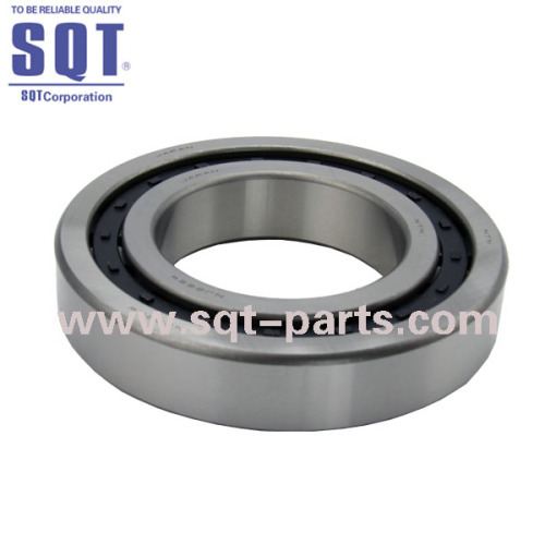 096-4339 Cylindrical Roller Bearing for E200B Swing Bearing