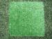 Waterproof Indoor Fake Artificial Grass Flooring Carpet with Plastic Base for Home