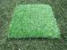 Anti Corrosion Indoor Fake Artificial Grass Flooring with Plastic Base for Home