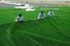 PP Durable Soft 7700 DTEX Artificial Grass Turf, Hockey Court Golf,Baseball Artificial Turf