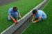 PA 50000 clusters/m 24000 Dtex Fabric Golf Artificial Turf for Landscaping Synthetic Grass