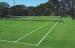 Polypropylene Tennis Court Synthetic Grass For Backyard 13mm Dtex11000