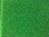 PP Synthetic / G3300 DTEX Golf Artificial Turf Greens For Sports