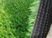 PP Synthetic / Clusters /Artificial Grass Lawn For Sports Leisure