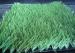 Diamond Shape Mono Yarn Baseball Artificial Turf , Anti UV Artificial Lawn