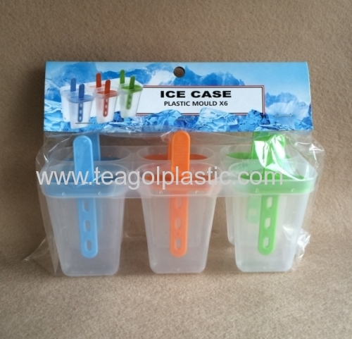 Plastic ice case 6PC