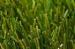 Golf Tennis Perfectly Green Artificial Grass / Turf TenCate Thiolon 12500Dtex