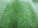 Artificial Landscaping Turf Fake Grass Lawns