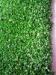 TenCate Thiolon Hockey Artificial Turf Fibrillated PU Synthetic Grass Field Green
