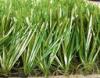 Poly Ethylene Sport Football Artificial Grass Lawn , Fake Turf Grass