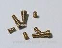 Aluminum Alloy / Iron Precision Brass Screws Non - Standard Fasteners