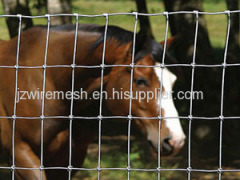 Cattle Wire Mesh Fence