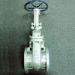 ANSI, BS, API Stainless Steel Industrial Gate Valve with 1/2 inch to 36 inches