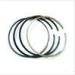 Cummins Engine Piston Ring for Nta855 Engine 3801755; 4089811