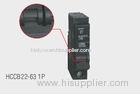 Pin And Fork Type Mini Circuit Breaker / MCB With 10000A Or 6000A