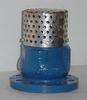 DN80 foot Cast Iron Valve NBR disc ring, Stainless steel screen