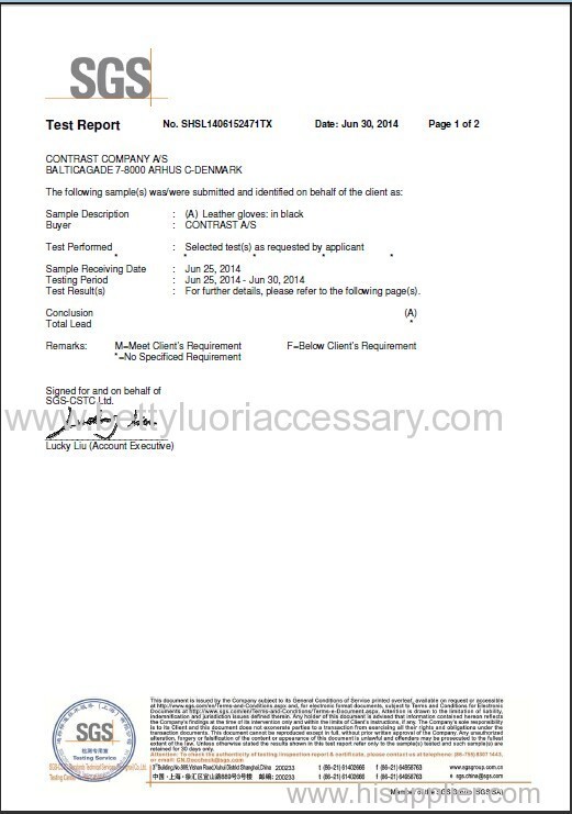 SGS Test Report