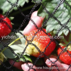 Garden Netting - Different Types to Prevent Pests