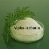 alpha-Arbutin ( Natural alpha-Arbutin )