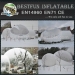 Clear lawn inflatable dome tent