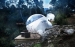 Customized Transparent Dome Tent