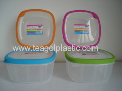 Plastic food storage container TPR seal square 2L