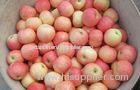 Health Benifits Of Organic Fuji Apple Containing Lutein And Zeaxanthin, Dense crisp, juicy, Sweet an