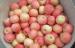 Health Benifits Of Organic Fuji Apple Containing Lutein And Zeaxanthin, Dense crisp, juicy, Sweet an
