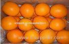 Fresh Mandarin Orange / Sweet Big Navel Orange Fruits Contains Vitamin C