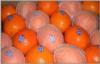 Citrus Fresh Navel Orange Contains Potassium For Preventing Arteriosclerosis