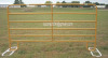 Painting Sheep Yard Secure Panel
